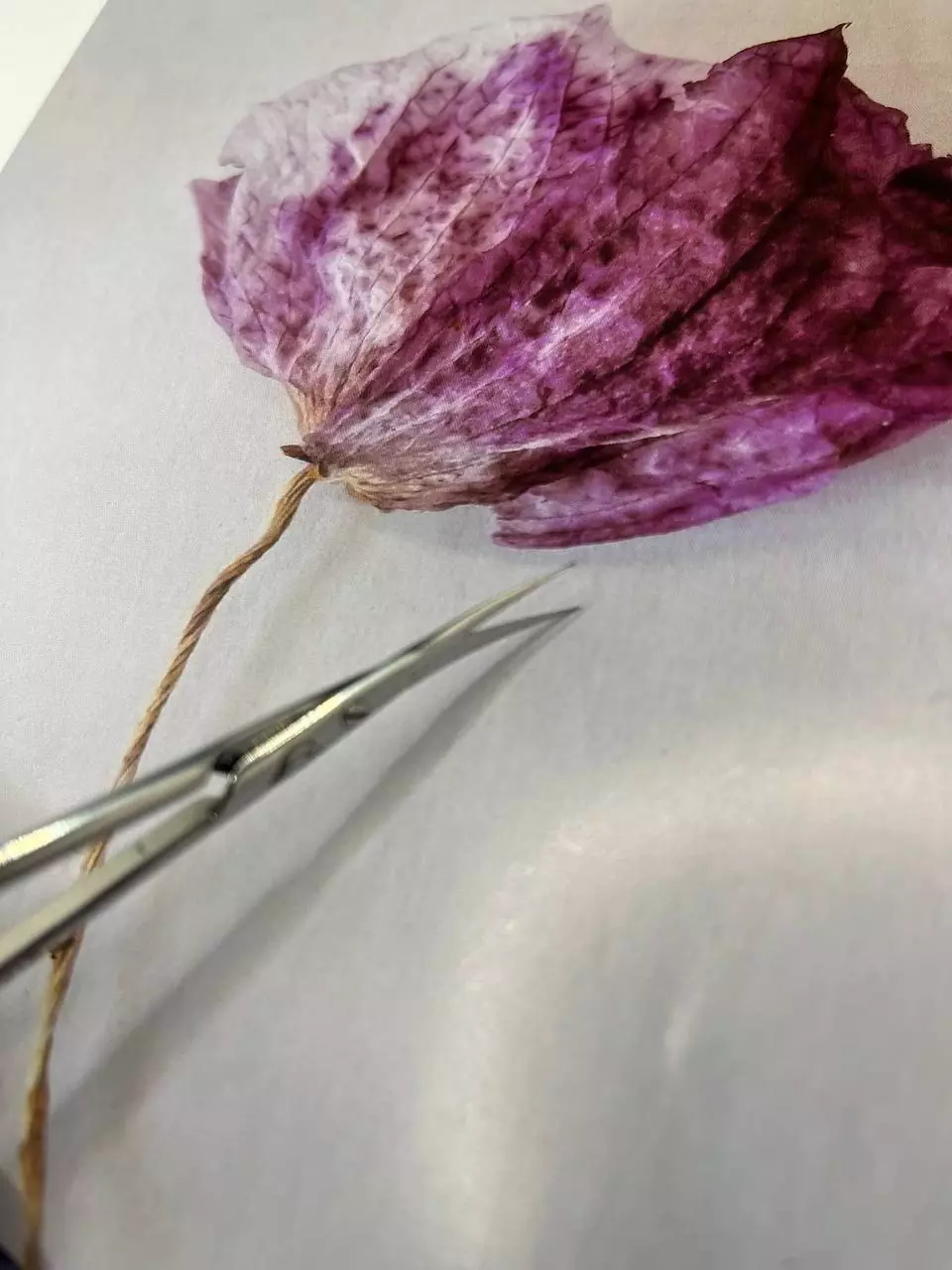 Staleks PRO Exclusive 23 TYPE 1 Magnolia SX-23/1 - Image 4