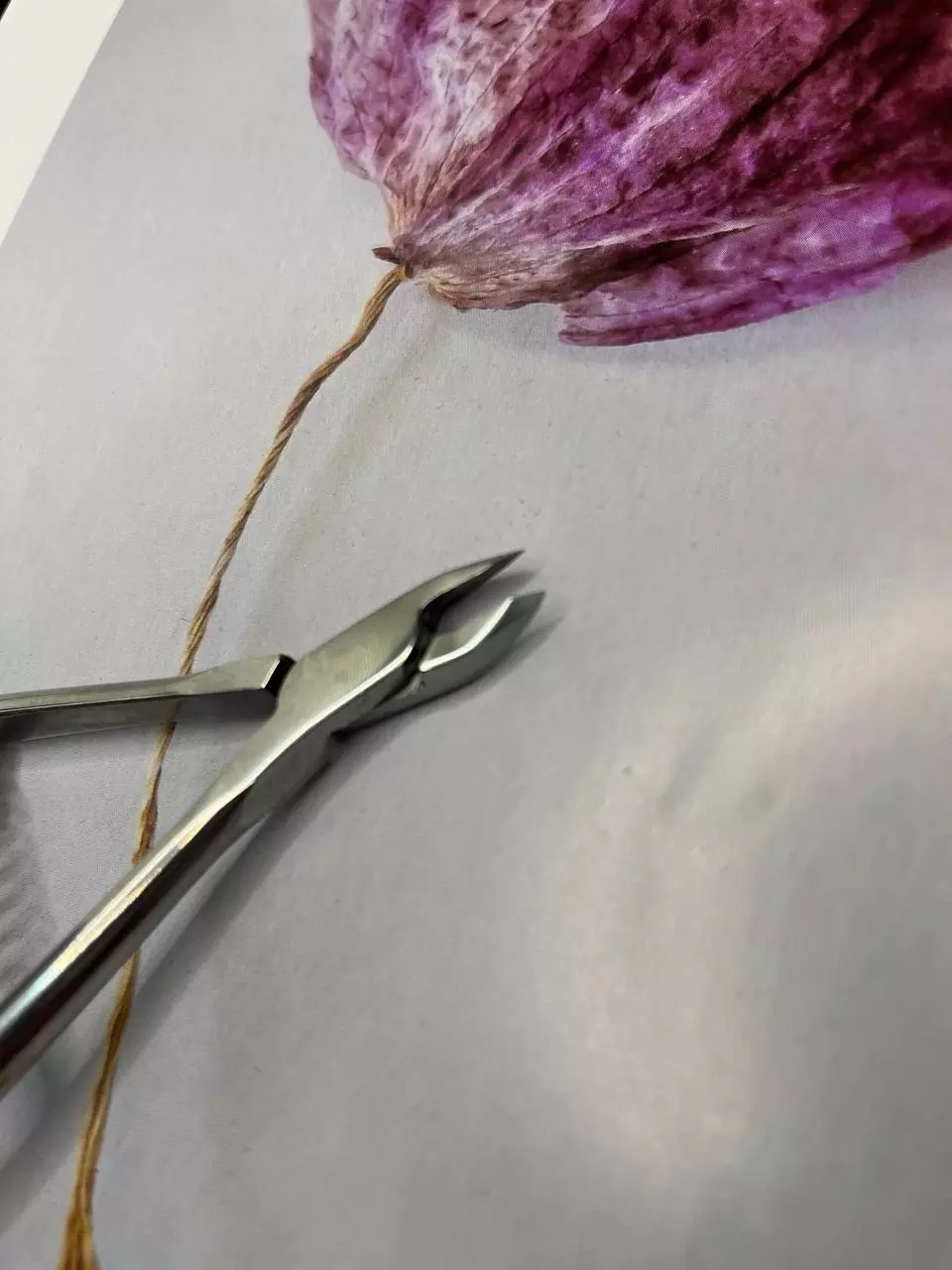 Manicure nippers Staleks Pro Expert 91 NE-91-5 - Image 5